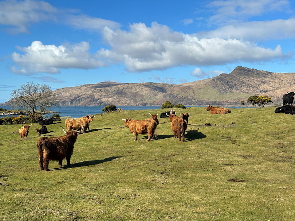 View from the front door of Laggan Lodge