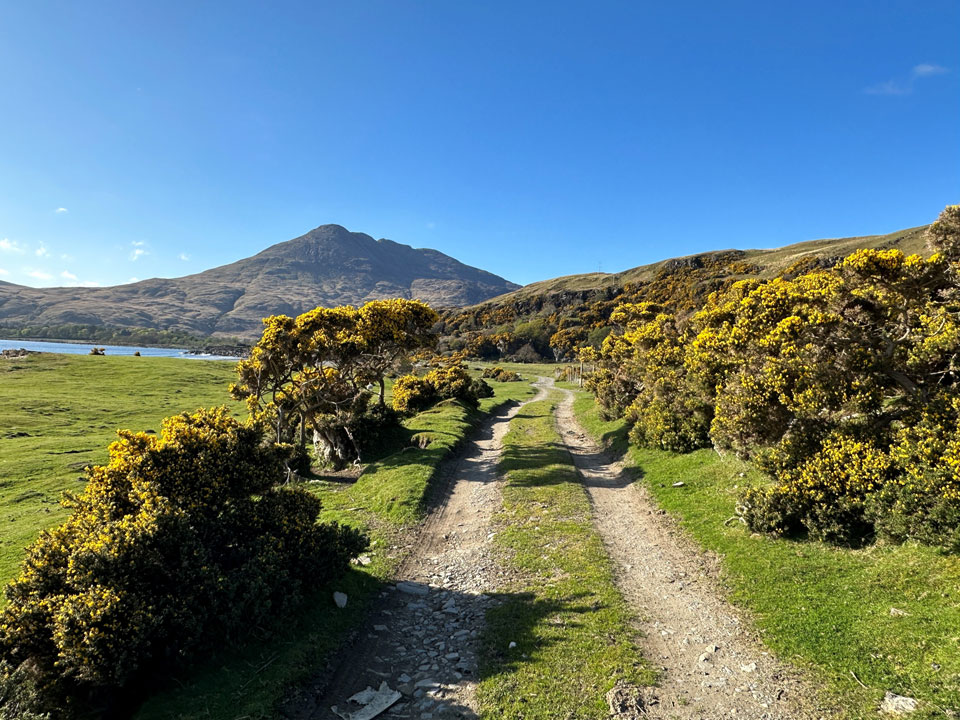 View from Laggan Lodge